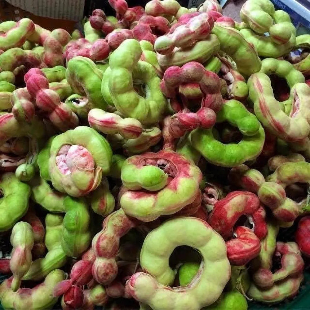 Jangle jalebi seeds – imported