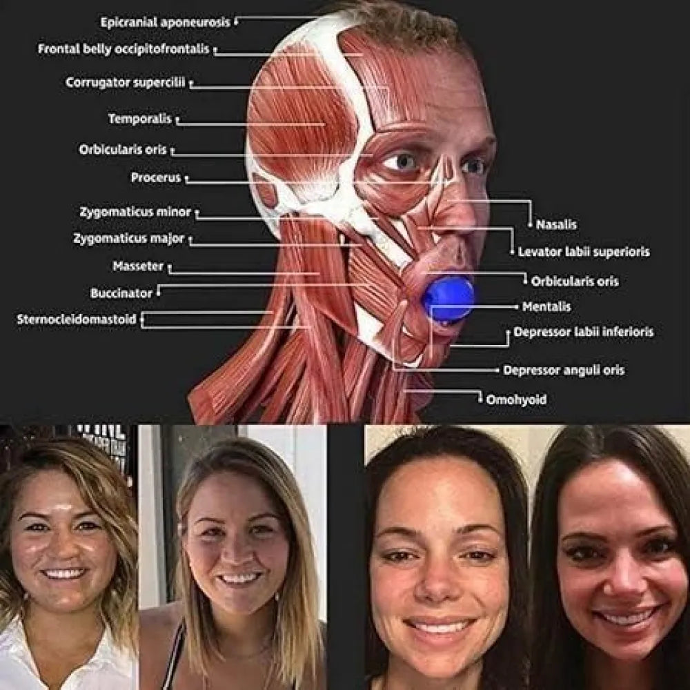 Facial muscle anatomy diagram with before-and-after face images.