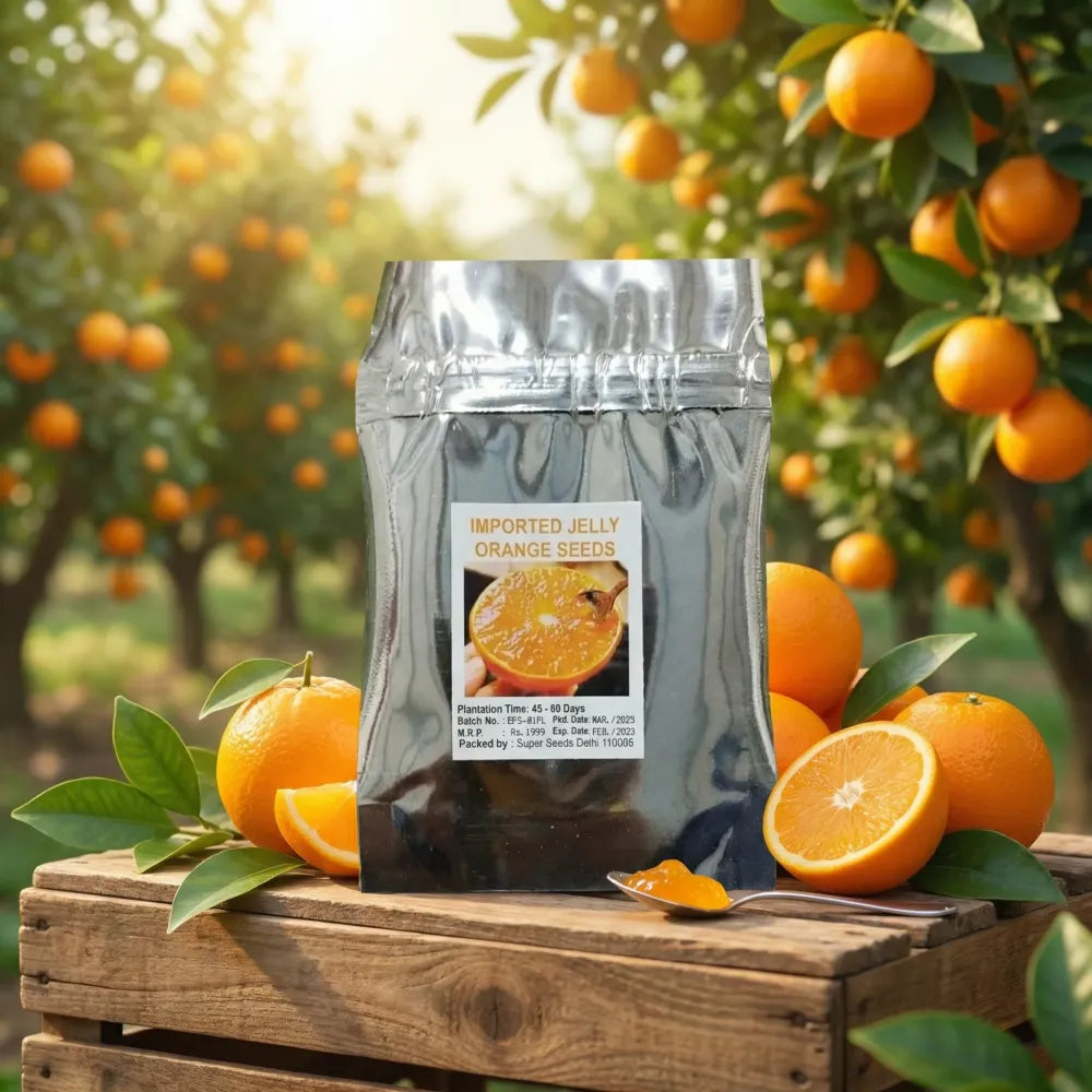 Jelly orange seeds