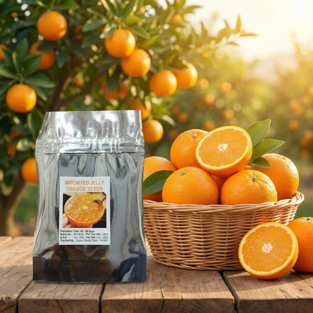 Jelly orange seeds