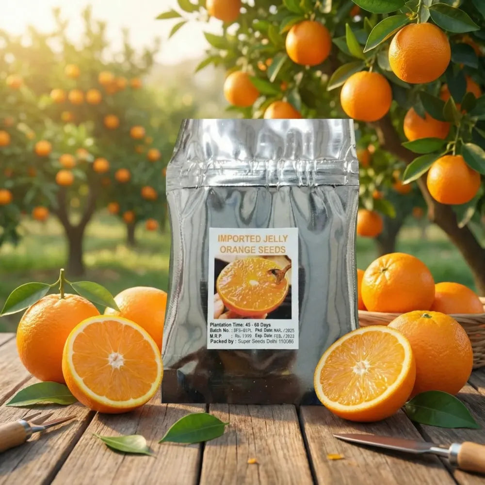 Jelly orange seeds
