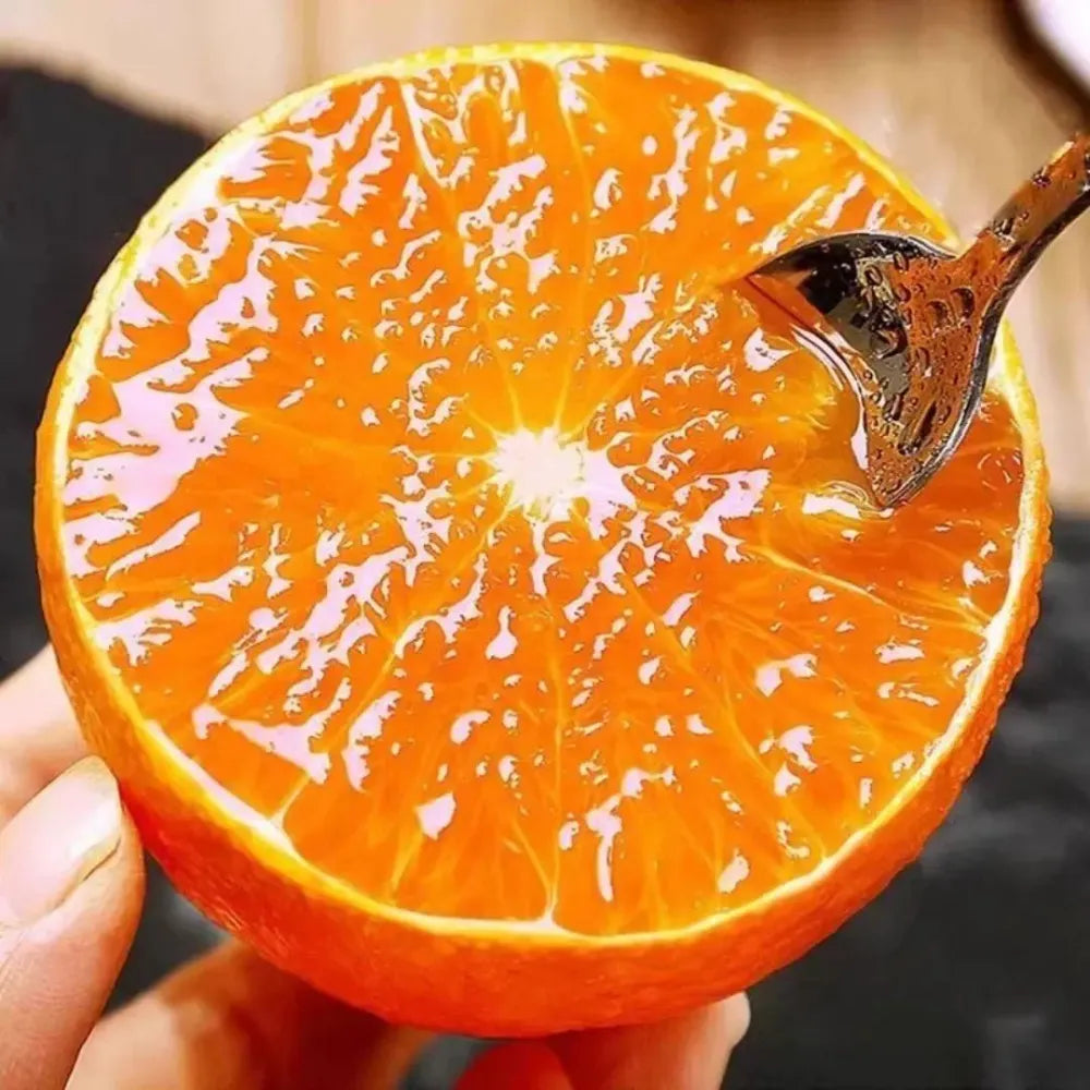 Jelly orange seeds