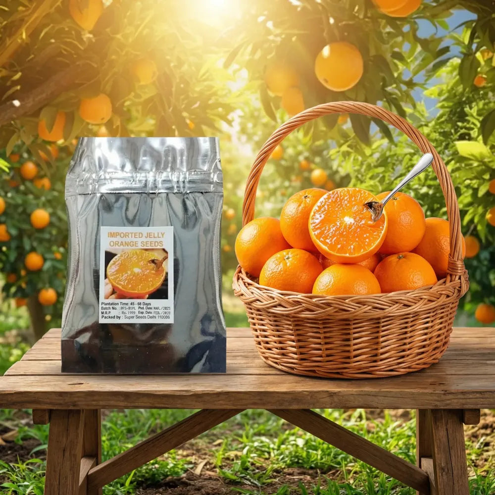 Jelly orange seeds