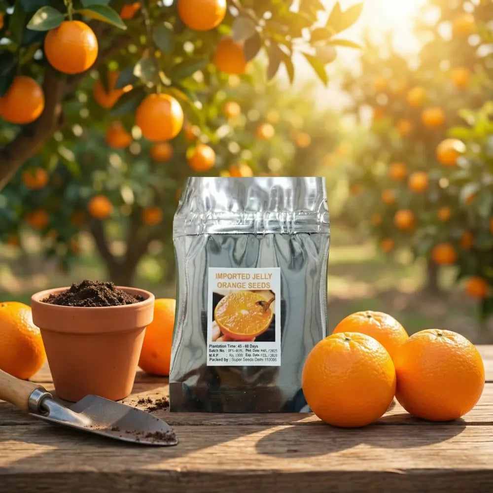 Jelly orange seeds
