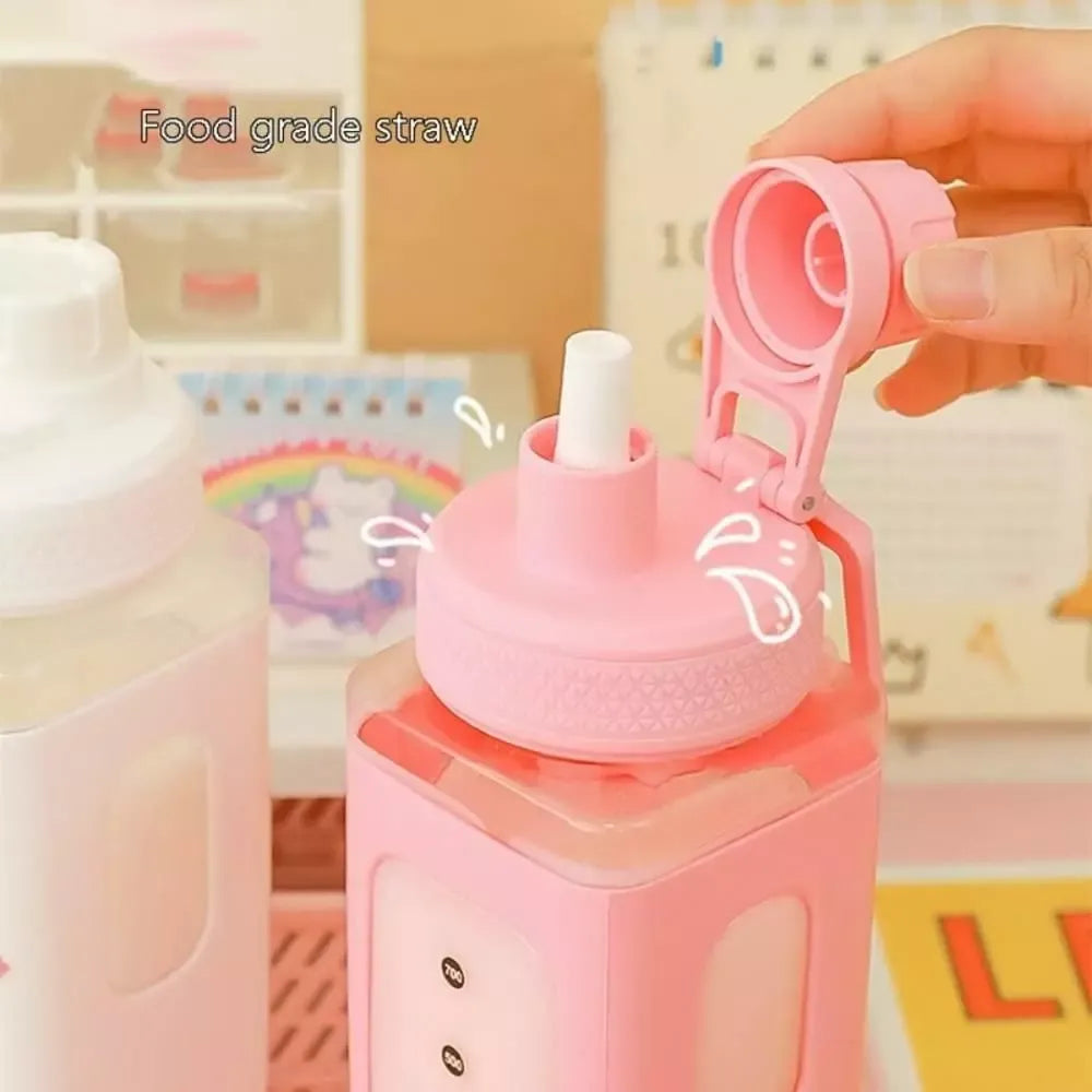 Kawaii straw water bottle