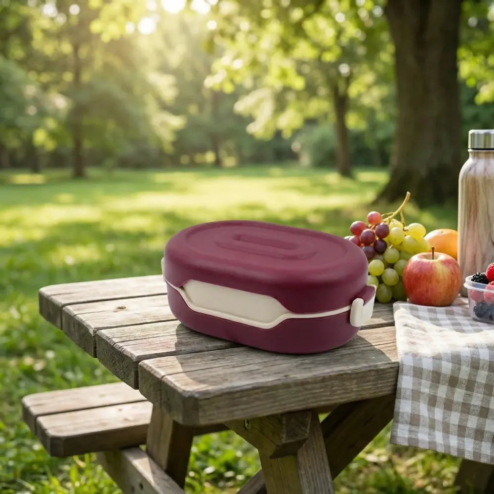 Leak-proof compartment lunch box - home & kitchen