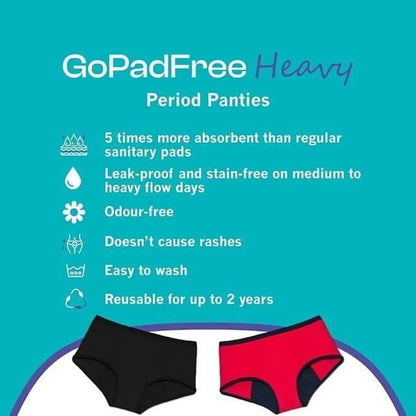 Leak-proof period panty hipster – pack of 2