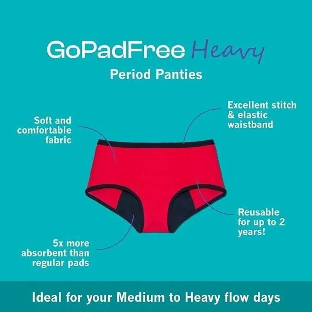 Leak-proof period panty hipster – pack of 2