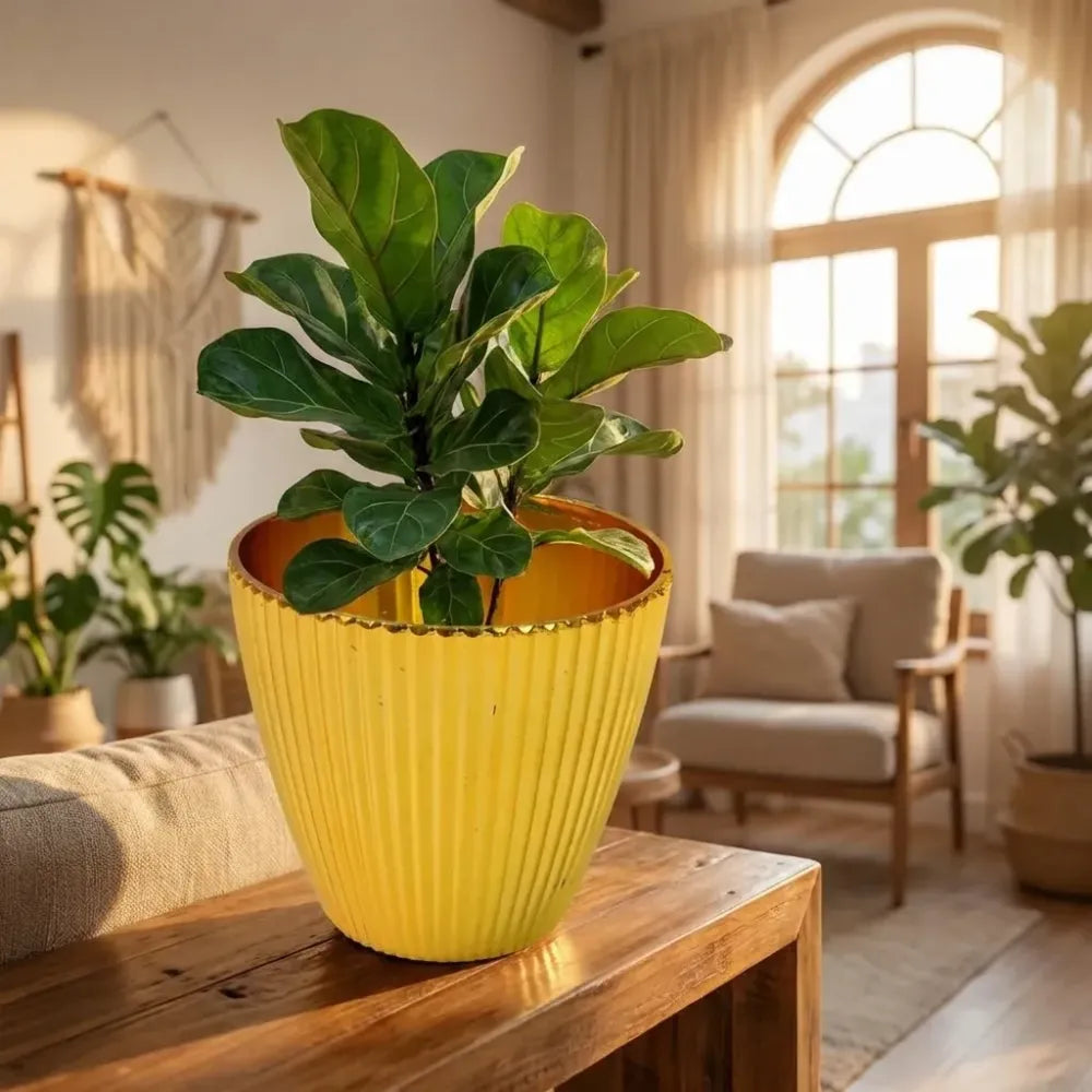 Lightweight plastic flower pot - home improvement