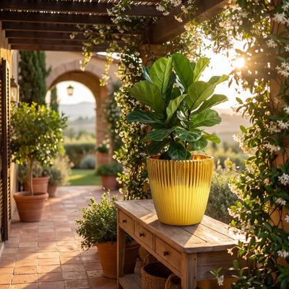 Lightweight plastic flower pot - home improvement