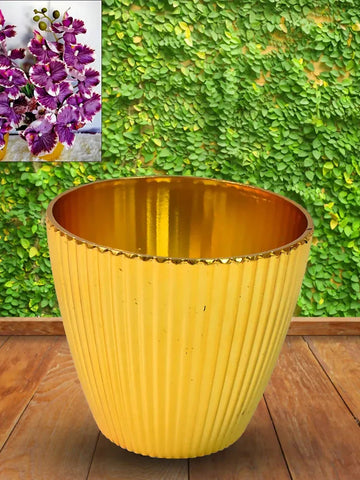 Lightweight Plastic Flower Pot