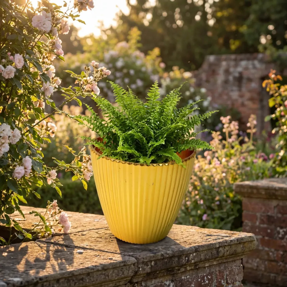 Lightweight plastic flower pot - home improvement