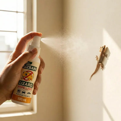 Lizard repellent spray 100ml (pack of 3)