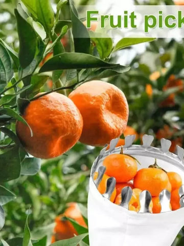 Long Reach Fruit Picker