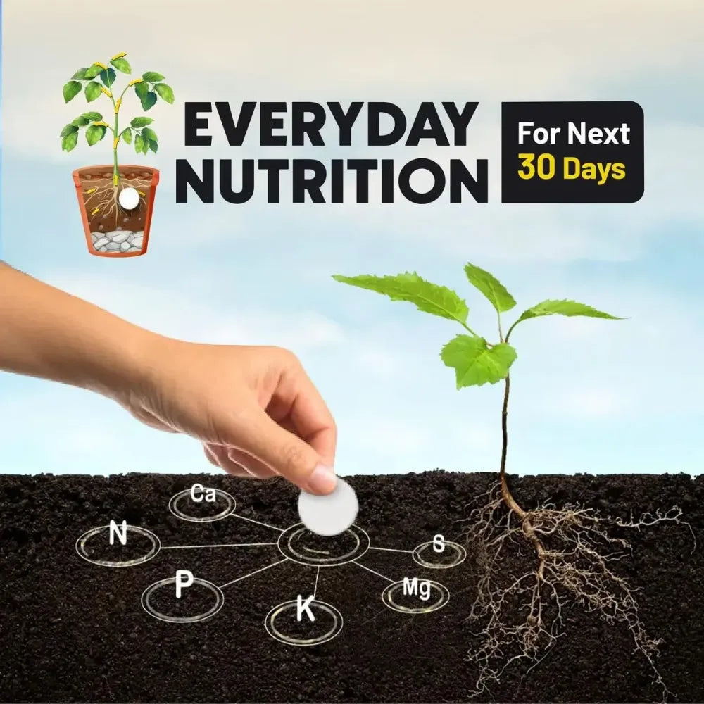 Magic soil grow tablets - gardening