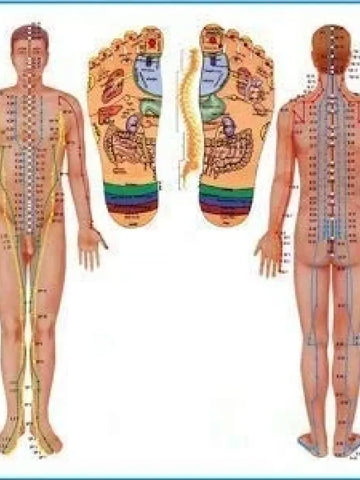 Magnetic Height Booster Massager