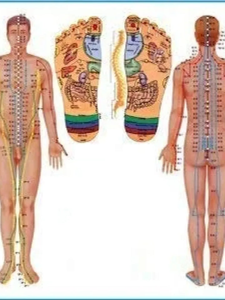 Magnetic Height Booster Massager