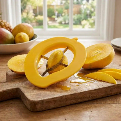 Mango cutter chopper slicer tool - home essentials