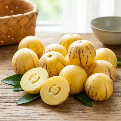 Medicinal ginseng fruit seeds - gardening