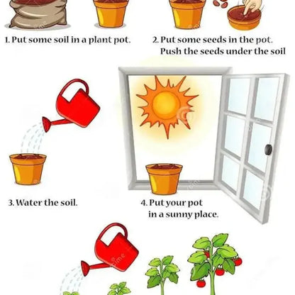 Mini thumb watermelon seeds – pack of 1