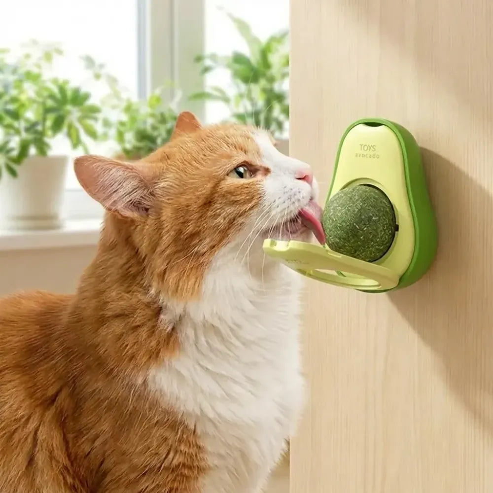 Minty catnip avocado ball