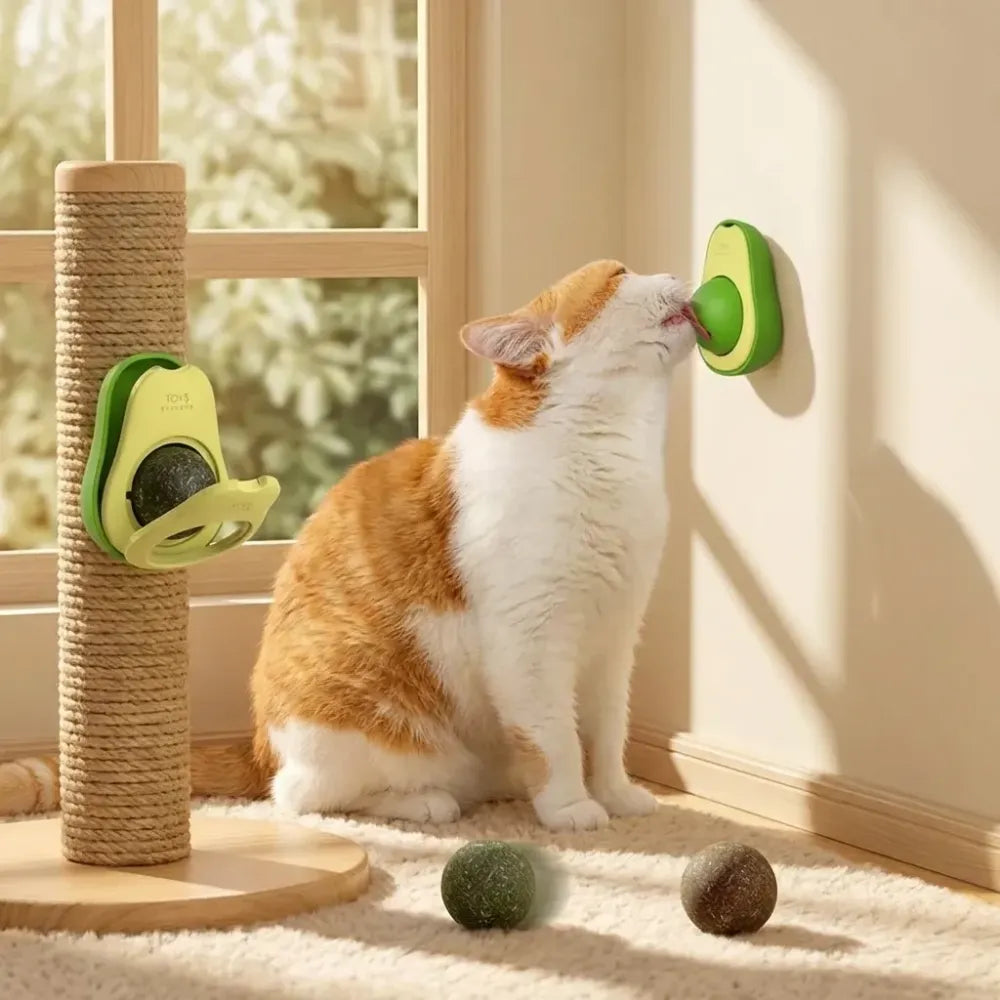 Minty catnip avocado ball