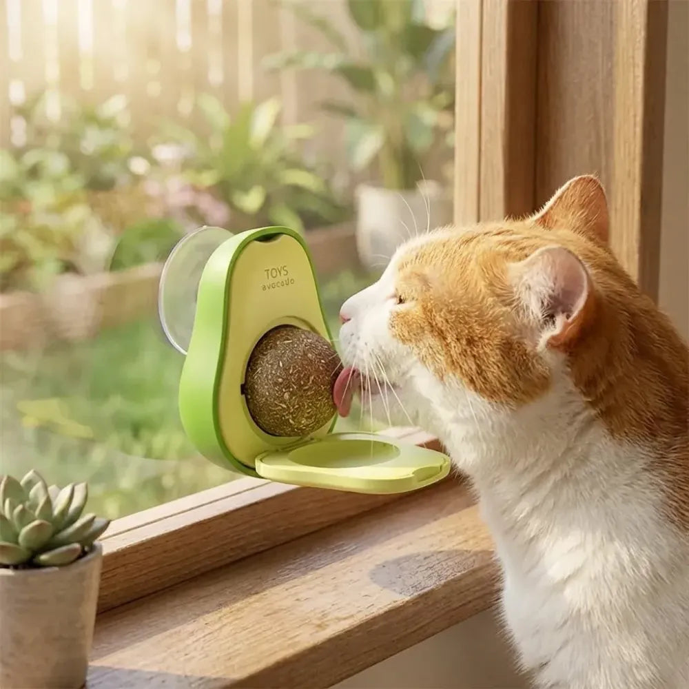Minty catnip avocado ball