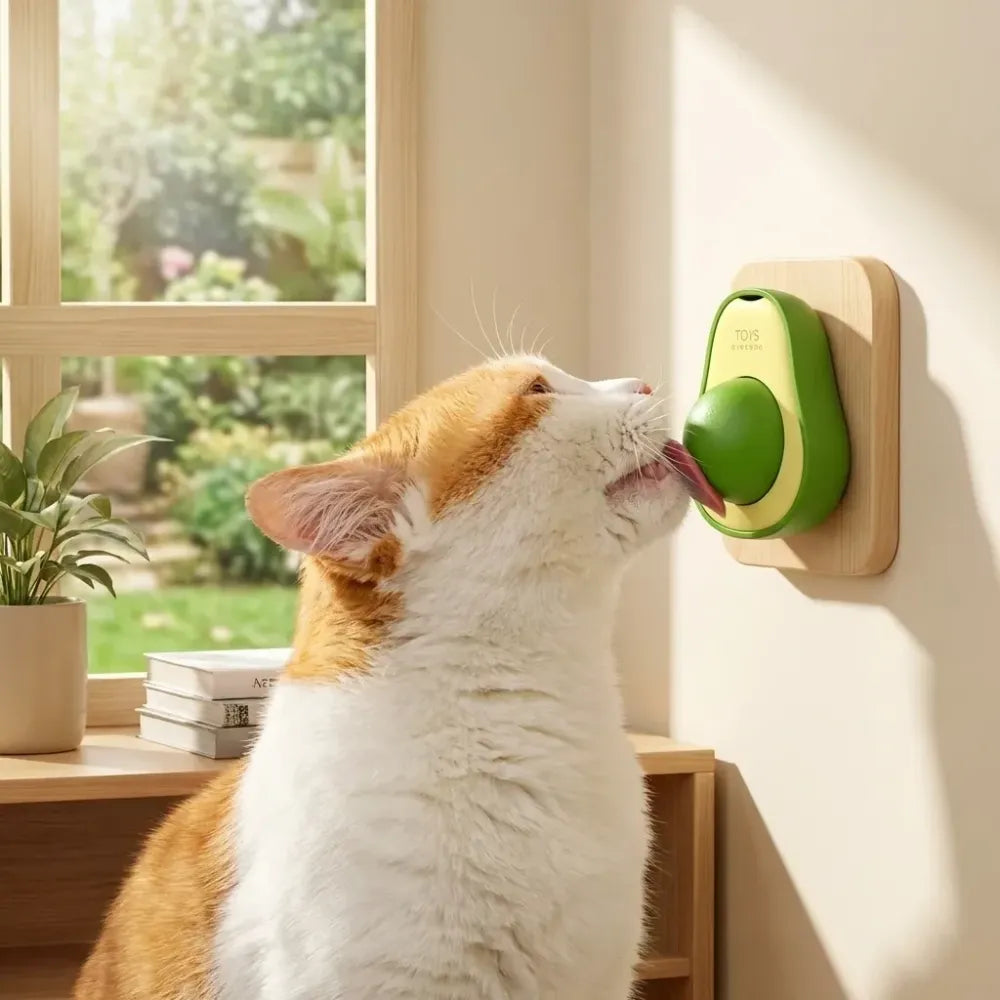 Minty catnip avocado ball