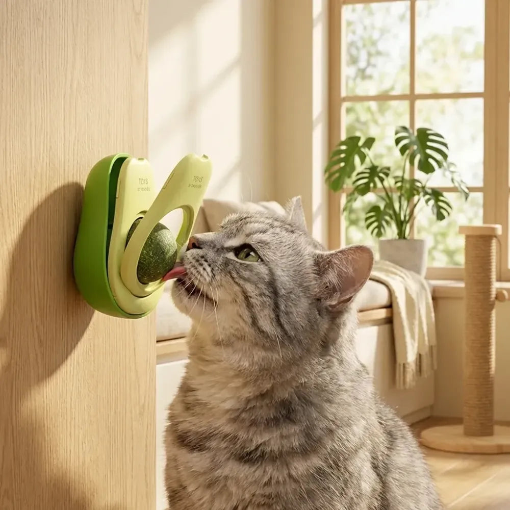 Minty catnip avocado ball