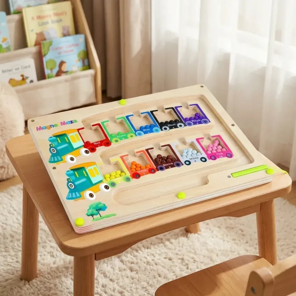 Montessori magnetic maze puzzle