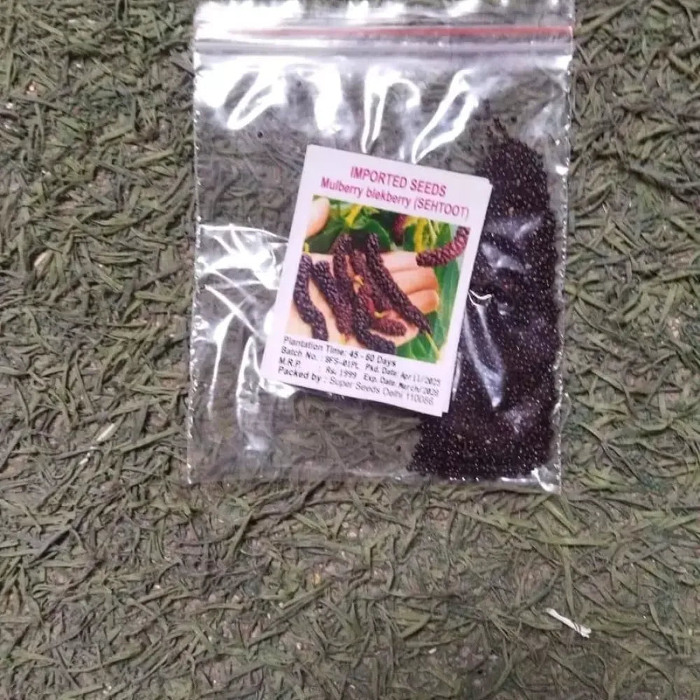 Mulberry blackberry fruit mix seeds - home essentials