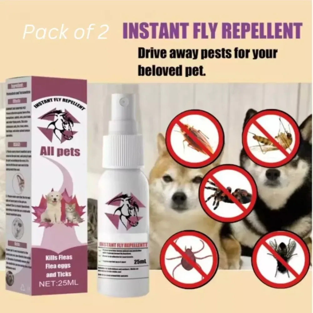 Natural flea & gnat spray for dogs - home essentials