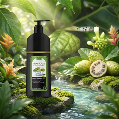 Noniplant black hair shampoo – 300ml (pack of 2)