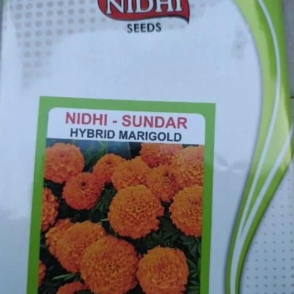 Orange marigold seeds