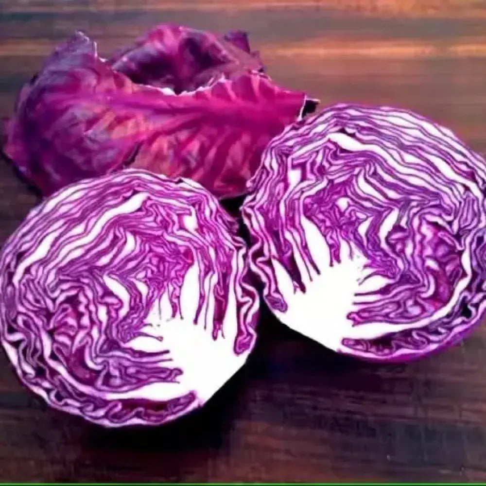 Organic cabbage seed pack