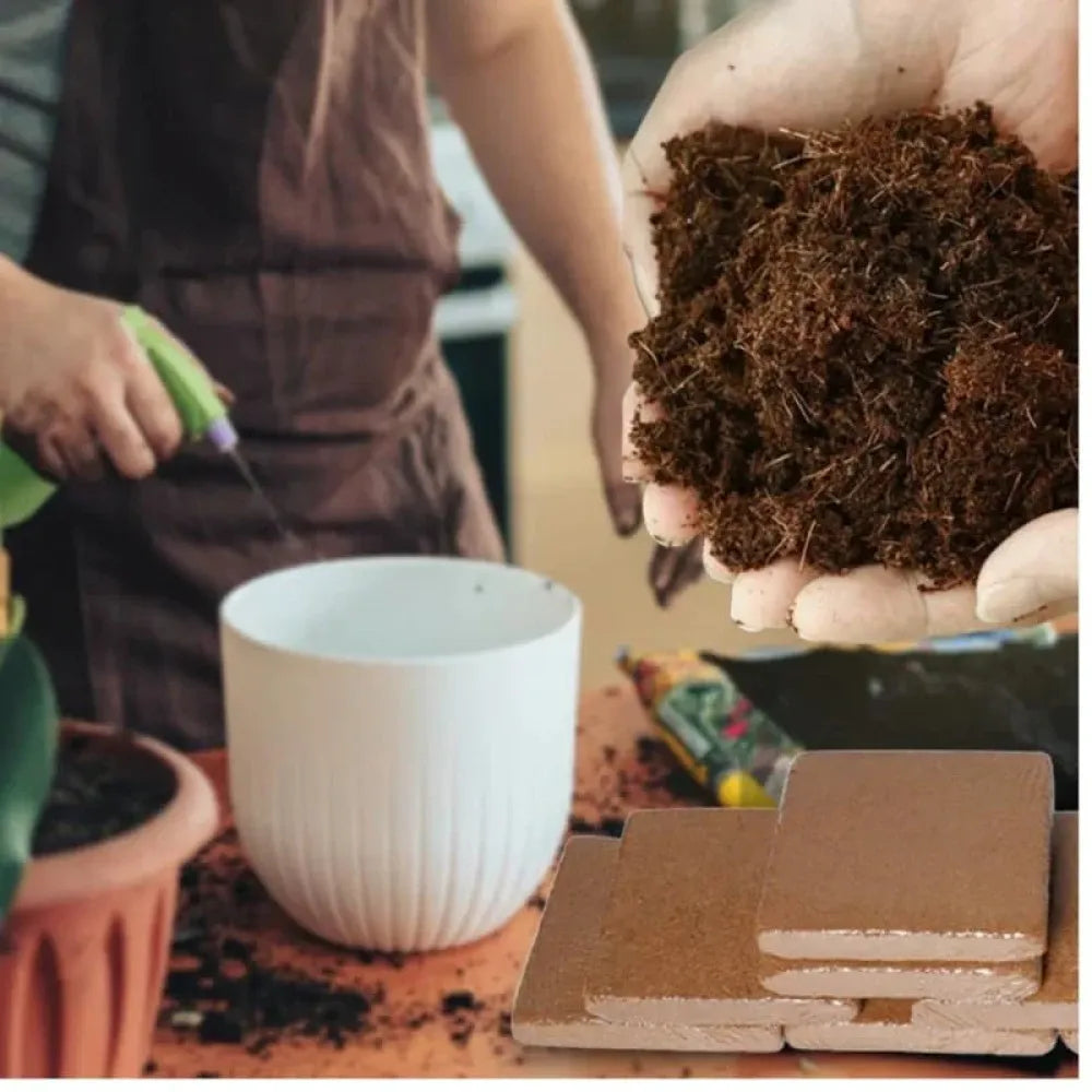 Organic coconut coir – pack of 2