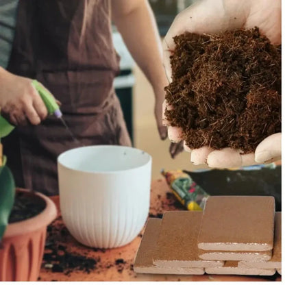 Organic coconut coir – pack of 2