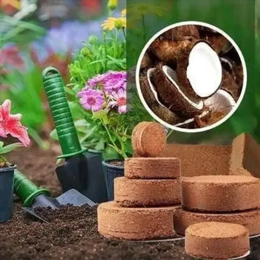 Organic coconut coir – pack of 2