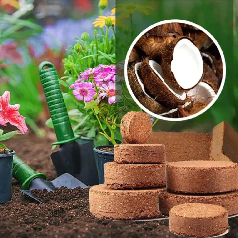 Organic coconut coir – pack of 2