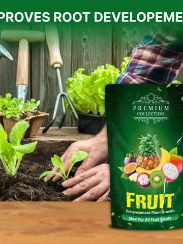Organic Fruit Booster