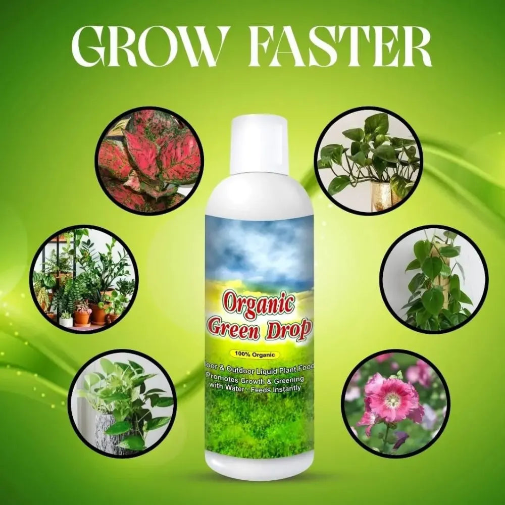 Organic plant growth booster - gardening