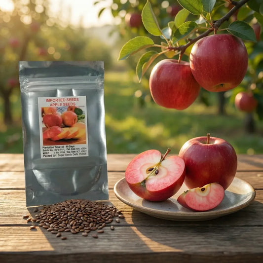 Organic red apple seeds - gardening