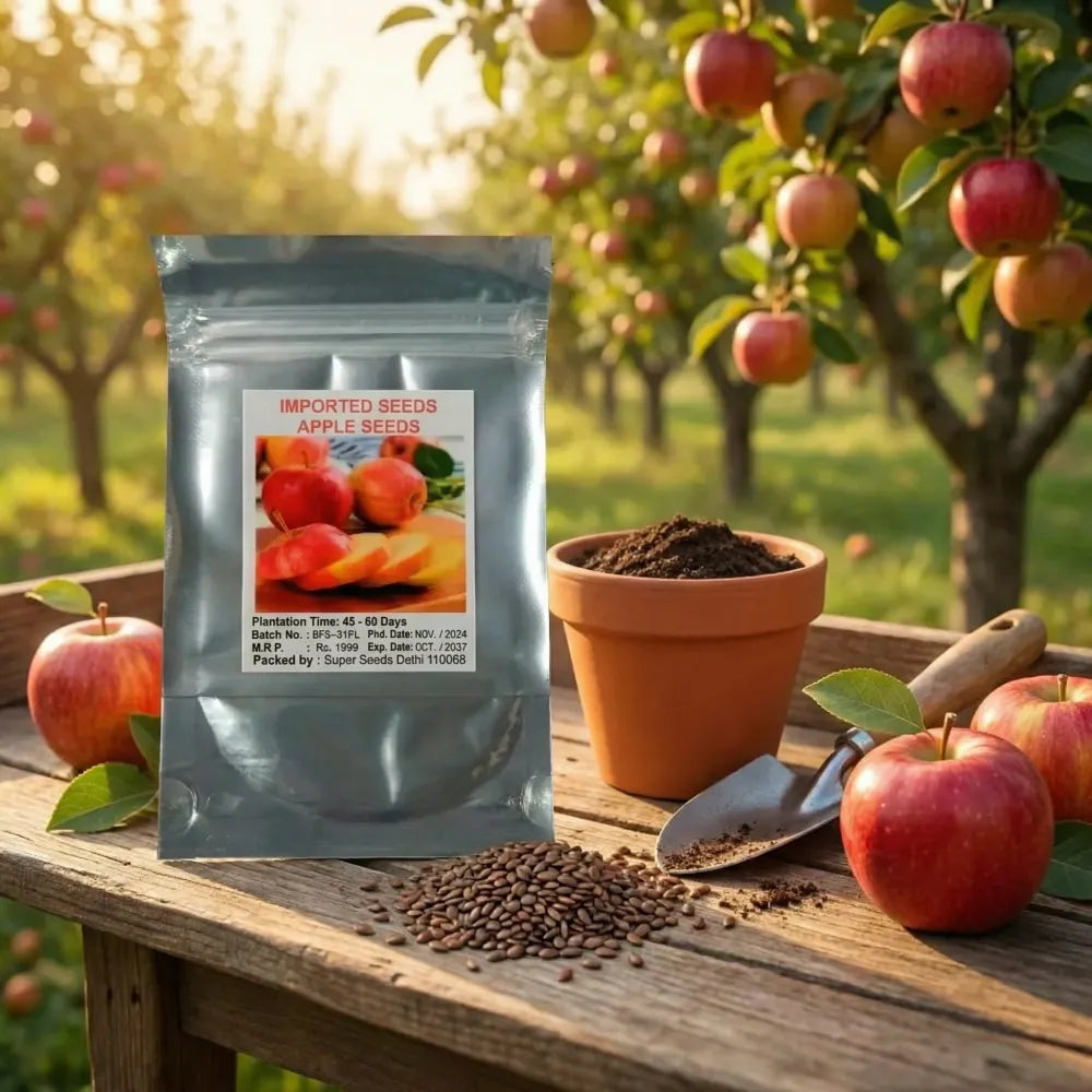 Organic red apple seeds - gardening