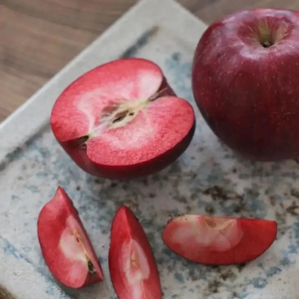 Organic red apple seeds