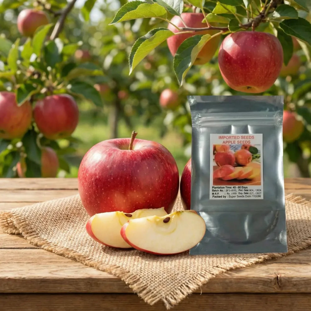 Organic red apple seeds - gardening