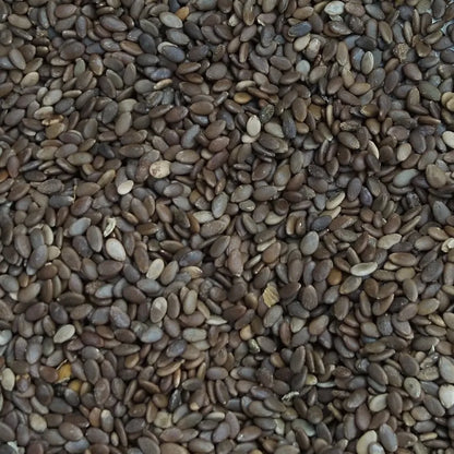 Organic red apple seeds - gardening