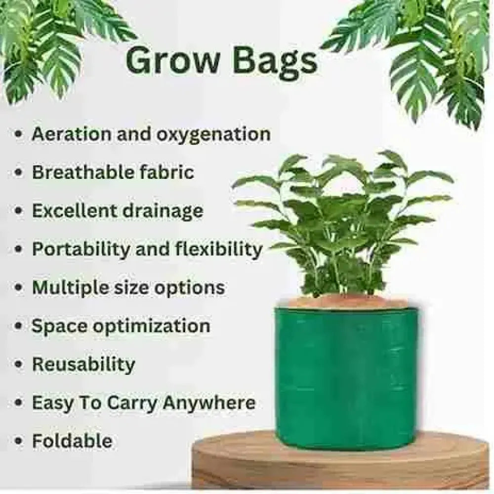 Organic seed & grow kit - gardening