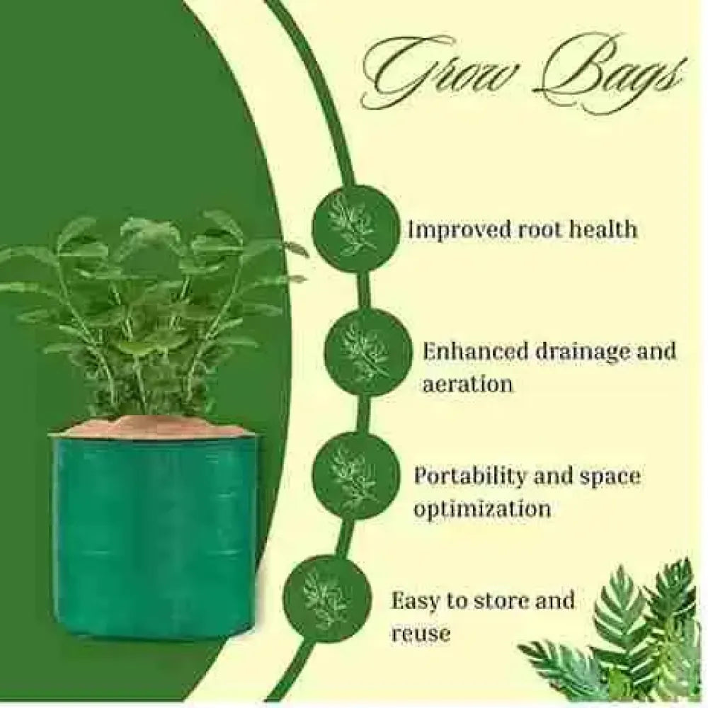 Organic seed & grow kit - gardening