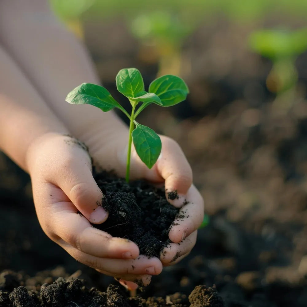 Organic vermicompost black soil - garden