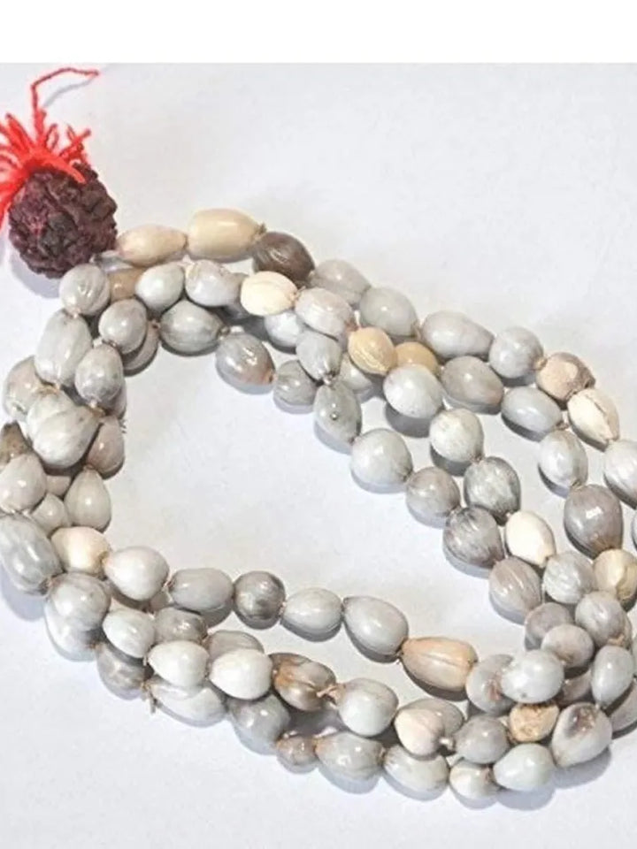 Original Vaijayanti Mala With Rudraksha Moira Stone